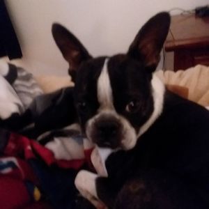 Meet your Posher, Sherry